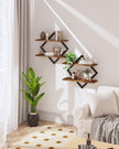 Floating Shelves, Set of 2 Wall Shelves, 2-Tier Hanging Shelves, Wall Shelf Set of 2, Wall Mounted Shelves, for Living Room, Bedroom, Kitchen, Office, Study, Rustic Brown TBJ01P2BF