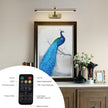 Wireless Picture Lights for Wall Battery Operated Brass Art Light for Paintings with Remote 3CCT Dimmable Potrait Lighting Rotatable Display Lighting 16