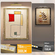 Picture Lights for Wall, Brushed Gold Battery Operated Picture Light 16in Art Light CCT Dimmable Recharging Battery Wall Light with Remote Control for Living Room Gallery 2PCS