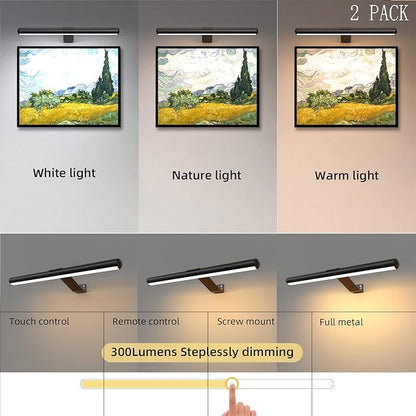 TINTINDOC 2Pack Wireless Picture Lights with Remote,Battery Operated,16.5'' Painting Lights for Art Picture Full Metal with Dimmable Timer, Magnetic Attached Display Light for Dartboard Gallery
