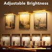Picture Light,Picture Lights for Wall Cordless,2PK Picture Lights with Timer and Dimmable,13
