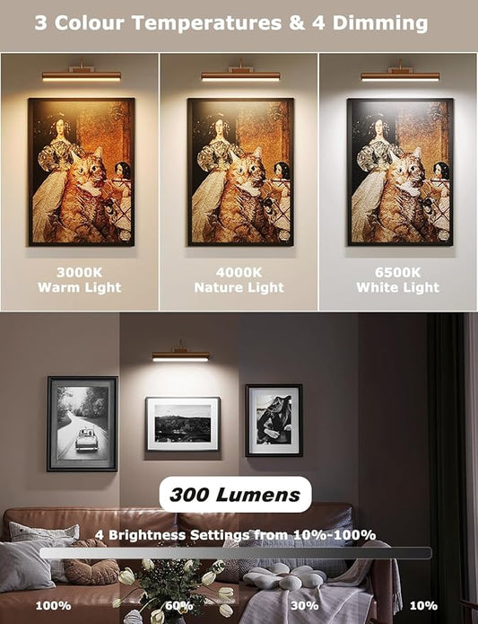 Picture Light Battery Operated, 13in Wireless Art Light for Paintings, Dimmable 5000mAh Recharging Battery Picture Light with Remote Control for Wall, Gallery Dartboard (Orange Copper -1Pack)