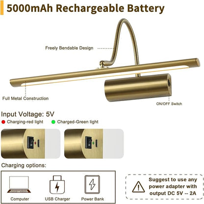 JOOSENLUX Battery Operated Picture Lights Gold Wall Lights Wireless Flexible Neck with Remote Rechargeable Wall Lights for Pictures 16" Dimmable Display Art Light with Timer 3000K Brass