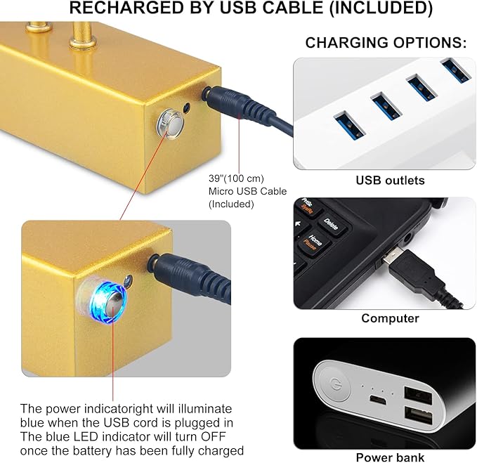 Picture Light,5000mAh Rechargeabl Art Lights for Paintings,Remote 16" Display Accent Lighting with Timer and Dimmable for Wall,Frame,Portrait-Gold