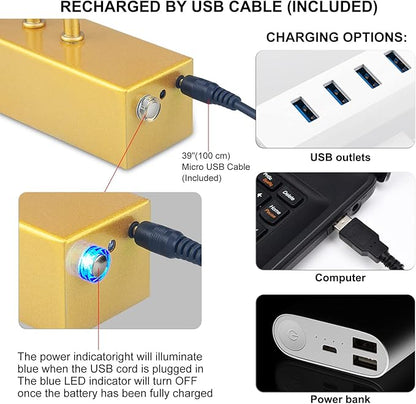 Picture Light,5000mAh Rechargeabl Art Lights for Paintings,Remote 16" Display Accent Lighting with Timer and Dimmable for Wall,Frame,Portrait-Gold