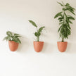 Make Good PlantPod Luxe Self-Watering Wall Planters (Set of 3, Terracotta) - Easy to Water and Install - Lightweight - Design Your Own Vertical Garden - Wall Planters for Indoor Plants