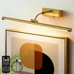 Picture Lights for Wall Battery Operated,24 Inch Wireless Rechargeable Art Lights for Pictures,3CCT Dimmable Retractable Painting Light with Remote & Timer,Glare-Free for Gallery Light,Gold