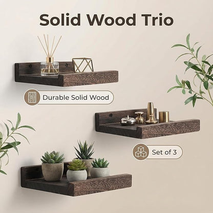 Z metnal Mini Floating Shelves, Small Natural Wooden Display Wall Shelf for Picture Ledge, Pawlownia, Wall Mounted, 6 x 5.5inch, 3 Pack