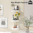 Fixwal 8inch Floating Shelves for Wall, Small White Shelves Wall Mounted Shelf for Bathroom, Living Room, Bedroom, Kitchen Decor (Set of 3, 8x8)