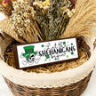 Funny St Patricks Day Decor, Skeleton Man Sign, Shamrock Decor, St Patricks Day Decoration for Home Office Coffee Bar Club, Farmhouse Framed Plaque Signs, 9.5x3.1x1 inches
