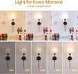 Battery Operated Wall Sconce, 120H Usage Time 22.6