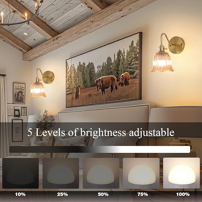 Battery Operated Wall Sconce Set of 2, Rechargeable Battery Powered Amber Wall Lights with 15 Colors, Vintage Glass Wall Lamp with Remote Control for Beside, Bedroom, Living Room