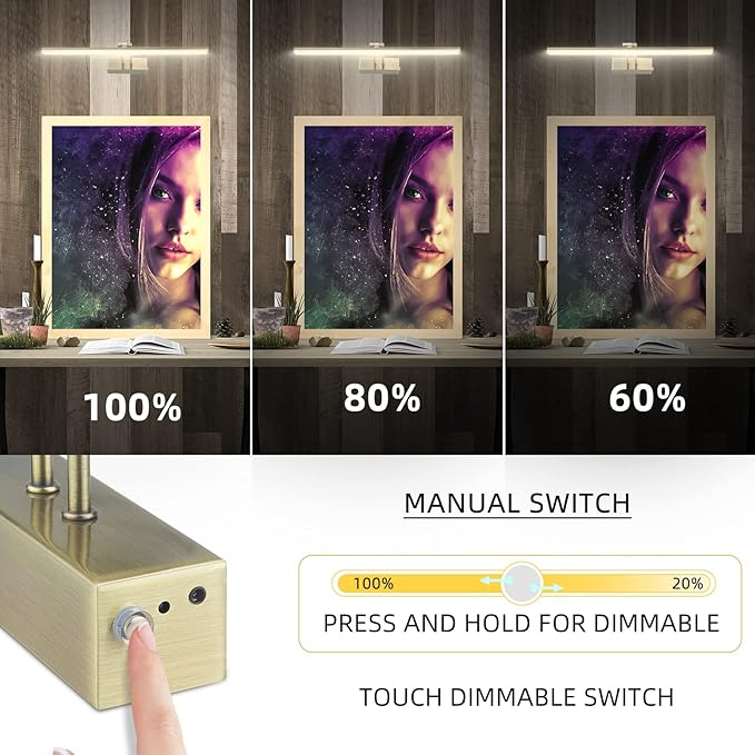 FUNCHDAY Picture Light,Battery Art Lights for Wall,Wireless Remote Painting Light with Timer and Dimmable,20”Metal Display Lighting for Artwork,Portrait,Gallery-Antique Brass