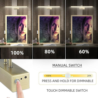 FUNCHDAY Picture Light,Battery Art Lights for Wall,Wireless Remote Painting Light with Timer and Dimmable,20”Metal Display Lighting for Artwork,Portrait,Gallery-Antique Brass