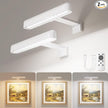 VOLISUN Picture Lights for Wall, Rechargeable Picture Light Battery Operated, 3 Color Temperatures Cordless Picture Light with Remote, Art Lighting for Paintings, Gallery, Portrait, 2 Pack (White)