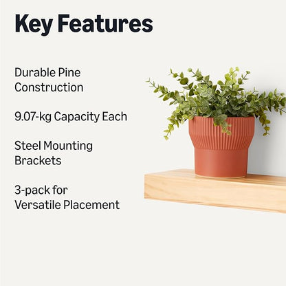 Amazon Basics Wood Floating Wall Shelves, 3-Pack, Pine, 15.8" x 5" x 1.8", Natural Wood Finish