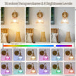 Vintage Battery Operated Wall Sconce, Rechargeable Wireless Wall Sconces with Remote Control, Indoor Wall Light Amber Glass Lampshade with RGB Dimmable for Bedroom, Living Room, Set of Two