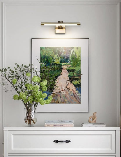 Joosenhouse Picture Light for Painting Dimmable Art Display Light with Adjustable Swing Arm for Picture Frame Light Artworking Portrait -Antique Bronze 7W Hardwired Connection Warm White