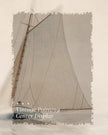 HUARCEY Gold Framed Vintage Wall Art for Living Room, Seaview Painting Prints Shelf Decor for Kitchen, Aesthetic Bedroom Large Wall Art, Gifts for Friends or Family (White Sailboat - 16