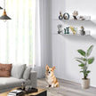 Wall Mount Acrylic Shelf 15 Inch Floating Shelf for Wall Decor Plants Books Records Heavy Duty Clear Display Shelf Bathroom Bedroom Living Room Storage Organization (6, Clear)