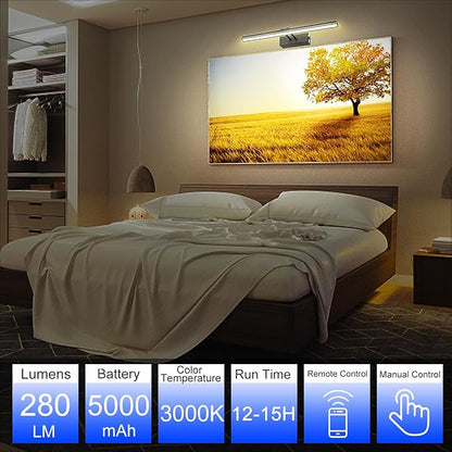 FUNCHDAY Picture Light,Battery Art Lights for Wall,Wireless Remote Painting Light with Timer and Dimmable,20”Metal Display Lighting for Artwork,Portrait,Gallery-BK