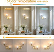 Battery Operated Wall Sconce, 2-Lights Vinatge Brass Wall Lighting with Clear Tluip Shade Rechargeable Bulb with Remote for Living Room, Bedroom，Symmetrical 2 Pack