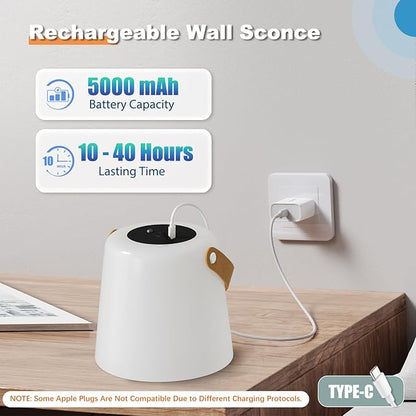 TACAHE Rechargeable Wall Sconce - Plastic Frosted Lampshade - 3 Color Temp & 5 Brightness - Remote Control - 5000 mAh Battery Operated - Cordless Wall Lamp for Camper, RV - Set of 2 (Black)