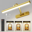 Picture Lights for Wall Rechargeable, 5200mAh Battery Operated Poster Light with Remote & Timer, 13