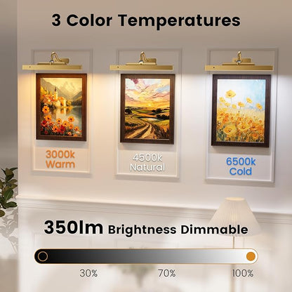 Gallery Lights for Wall 3 Pack, 12" Rechargeable Picture Lights, Cordless Remote Dimmable LED for Portrait Hallway Decor (Antique Gold)