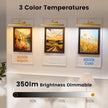 4 Pack Art Light Set, 12