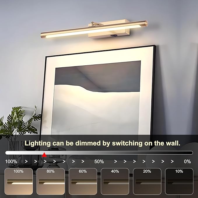 Picture Light for Wall Battery Operated, 24