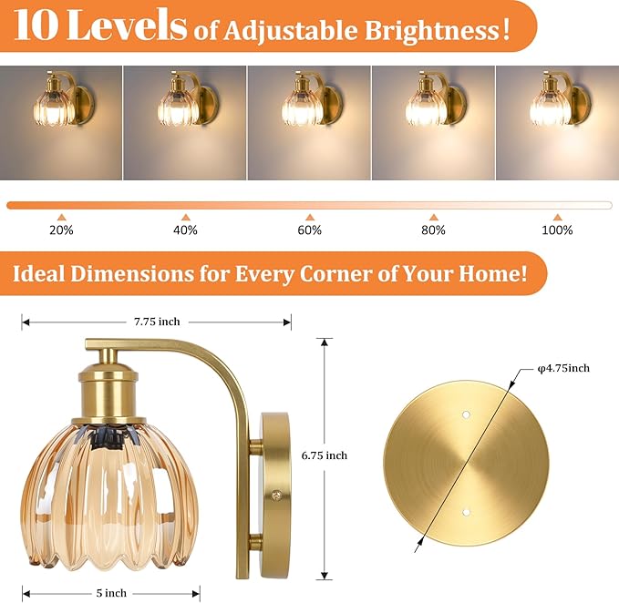 VerRon Rechargeable Battery Operated Wall Sconce with Amber Glass Lampshade, Wireless Wall Scone Decor with Remote Control, 15 Colors Gold Wall Light for Bedside Hallway Bedroom Doorway