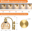 VerRon Rechargeable Battery Operated Wall Sconce with Amber Glass Lampshade, Wireless Wall Scone Decor with Remote Control, 15 Colors Gold Wall Light for Bedside Hallway Bedroom Doorway