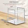 Pull Out Spice Rack Organizer for Inside Cabinet, 2 Tier Metal Spice Organization for Cabinet, Vertical Slide Out Seasoning Organizer, 9.65