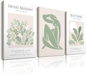 Matisse Sage Green Framed Wall Art,Abstract Green Canvas Wall Decor.12x16in Plants Botanical Poster Prints,Minimalist Classic Home Decoration for Living Room Bedroom Bathroom Office,Set of 3