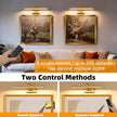 Picture Lights for Wall, 5200mAh Rechargeable Battery Operated Picture Light with Remote, 15.7