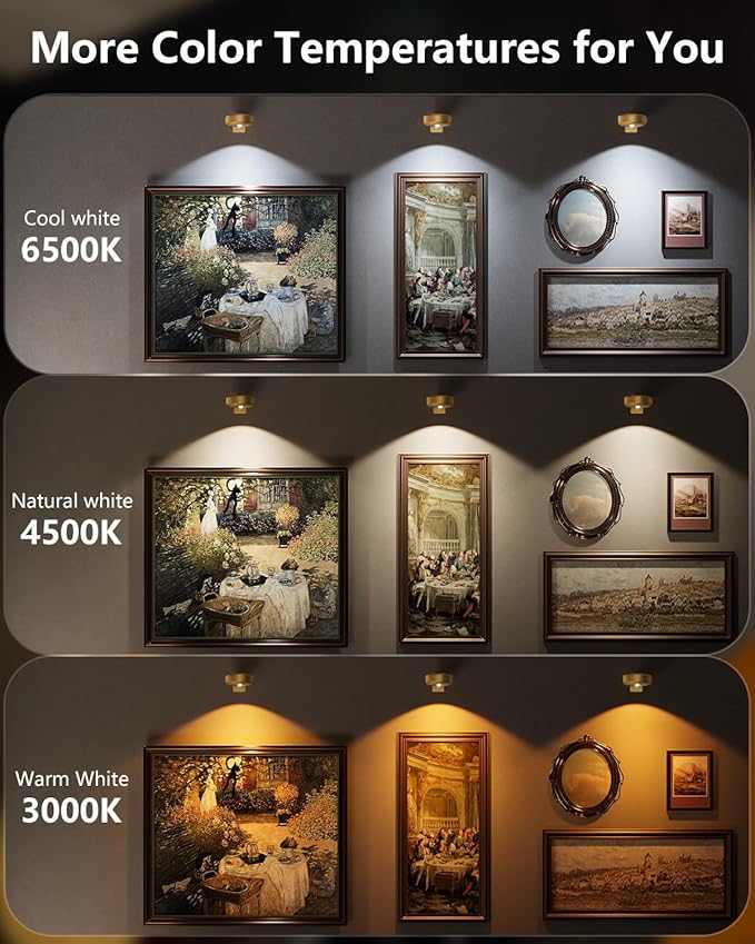 Picture Lights for Wall, 2000mAh Rechargeable Magnetic Poster Lights with Remote, 3 Color Temps & RGB Dimmable Timer, Wall Decor Light for Art Display, Frame (3 Pack)