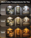 Picture Lights for Wall, 2000mAh Rechargeable Magnetic Poster Lights with Remote, 3 Color Temps & RGB Dimmable Timer, Wall Decor Light for Art Display, Frame (3 Pack)