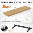 Fun Memories Floating Shelves for Wall, 24