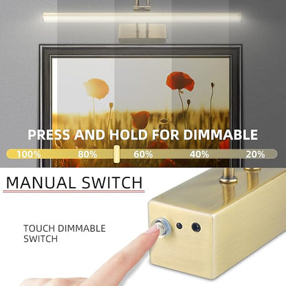 Picture Light,Picture Lights for Wall Cordless,13" Picture Lights with Timer and Dimmable,Battery Wall Lights for Display Gallery Painting Art Frame Portrait-AB