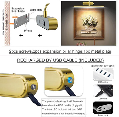 Picture Light,Wireless Art Lights for Paintings,15.9" Battery Operated Wall Lights,Remote Accent Lighting with Timer and Dimmable for Frame,Portrait,Dartboard-Brass