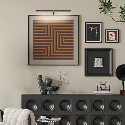 Picture Lights for Paintings Plug in, 16" 4W Adjustable LED Picture Light Art Light with Timer, Remote Control Gallery Painting Wall Light for Picture Display Frame Dartboard Art Work (Black)