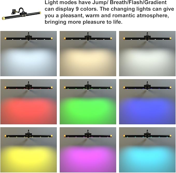Starxing Picture Light with Remote, Led Accent Light Painting Plug in, Magnetic Art Lighting Rotatable, Dart Board Light RGB Dimmable, Spotlight Timer for Display Frame Portrait Mirror Wall Indoor