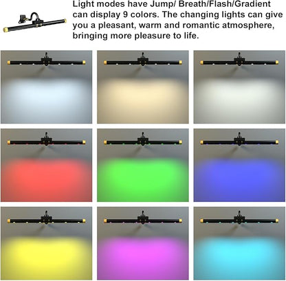 Starxing Picture Light with Remote, Led Accent Light Painting Plug in, Magnetic Art Lighting Rotatable, Dart Board Light RGB Dimmable, Spotlight Timer for Display Frame Portrait Mirror Wall Indoor