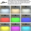 Starxing Picture Light with Remote, Led Accent Light Painting Plug in, Magnetic Art Lighting Rotatable, Dart Board Light RGB Dimmable, Spotlight Timer for Display Frame Portrait Mirror Wall Indoor
