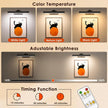 Picture Light for Wall with Remote, Wireless Battery Operated Wall Lights with 3 Colors Dimmable & Timer, 12.6