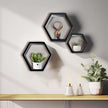 DD DEFINED DECO Set of 3 Pine Wood Hexagon Shelves for Wall Decor,Wall Mounted Floating Shelves,Farmhouse Honeycomb Living Room,Hanging Rustic Shelf Racks Bedroom,Nursery, Black, (B2C230007-3SET)