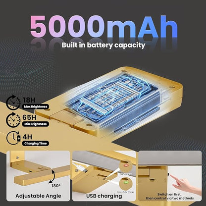 Picture Lights for Wall Battery Operated Gold Wireless Art Light for Paintings, Rechargeable Display Lighting for Picture with Remote Control, RGB Poster Lights for Frame, Gallery, Portraits, 2 Pack