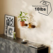 Acrylic Floating Shelves with Solid Wood Base, Wall Mounted Shelf for Plants, Perfume, Nail Polish, Bathroom, Bedroom & Living Room Decor