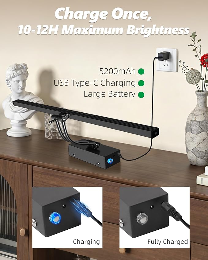 2 Pack Rechargeable Picture Light, 5200mAh Black Battery Operated Picture Lights for Wall with Remote Control, 300LM 3000K Warm White Light 16" Metal Dimmable Picture Light for Painting & Artwork